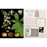 100 Plants That Heal