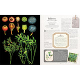 100 Plants That Heal