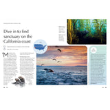 The Joy of Wild Swimming