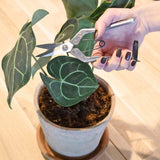Garden Pruner