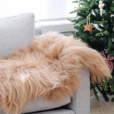 Sheepskins - Camel Icelandic Throw