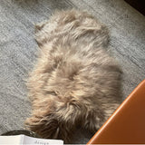 Sheepskins - Camel Icelandic Throw