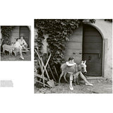 Style: Photographs for Vogue